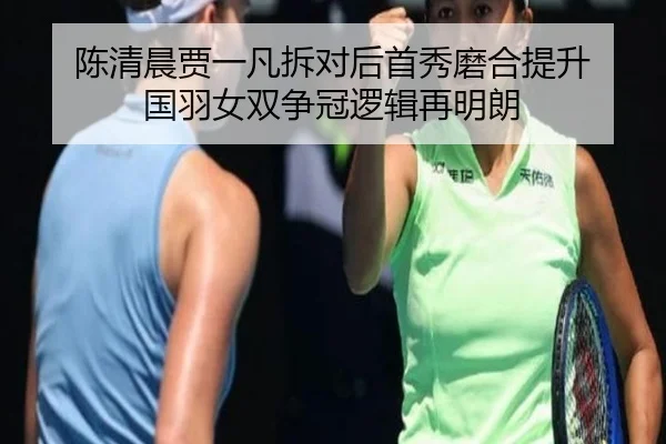 陈清晨贾一凡拆对后首秀磨合提升 国羽女双争冠逻辑再明朗 | ANBOSPORT